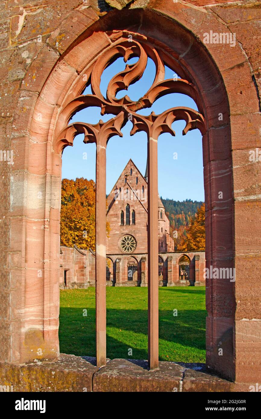Rovine del monastero di Hirsau, ex monastero benedettino, costruzione del complesso di San Pietro e Paolo alla fine del 11 ° secolo, Calw, distretto di Hirsau, Baden-Württemberg, Germania Foto Stock