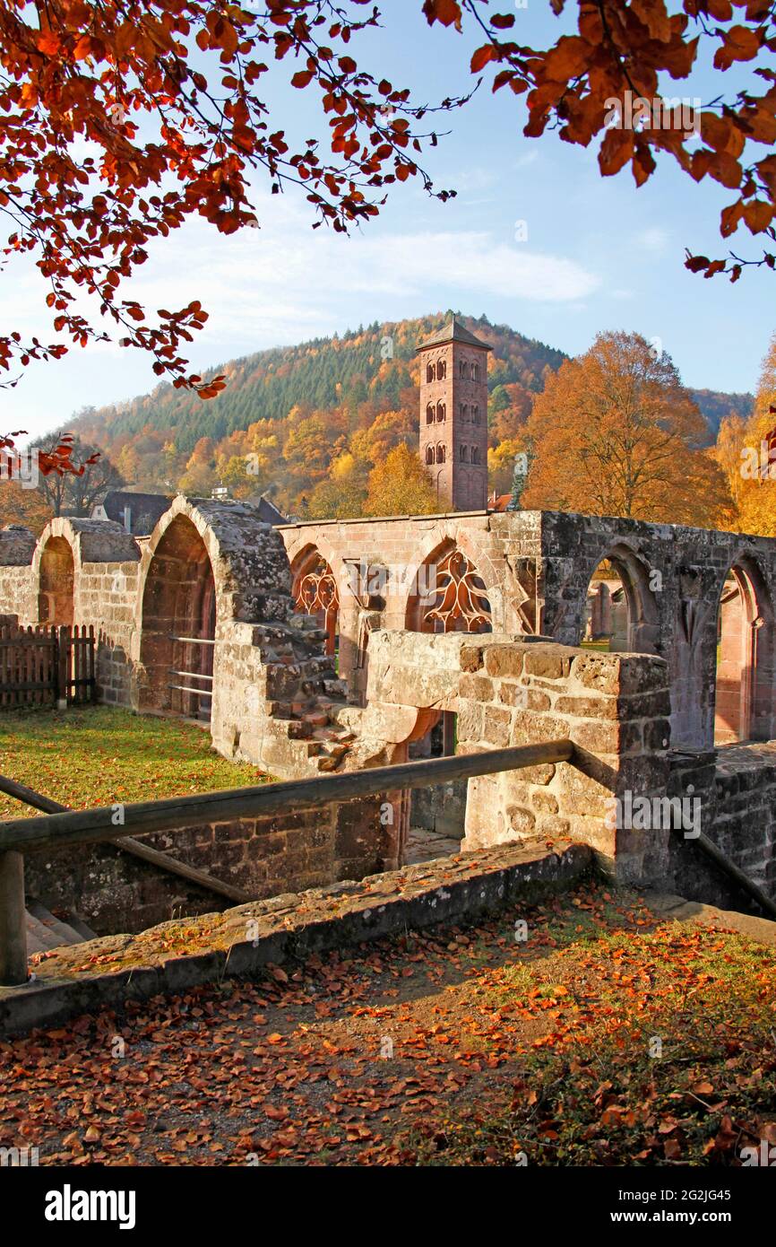 Rovine del monastero di Hirsau, cucina del monastero, chiostro, torre civica, ex monastero benedettino, Costruzione del complesso San Pietro e Paolo alla fine del 11 ° secolo, Calw, quartiere Hirsau, Baden-Württemberg, Germania Foto Stock