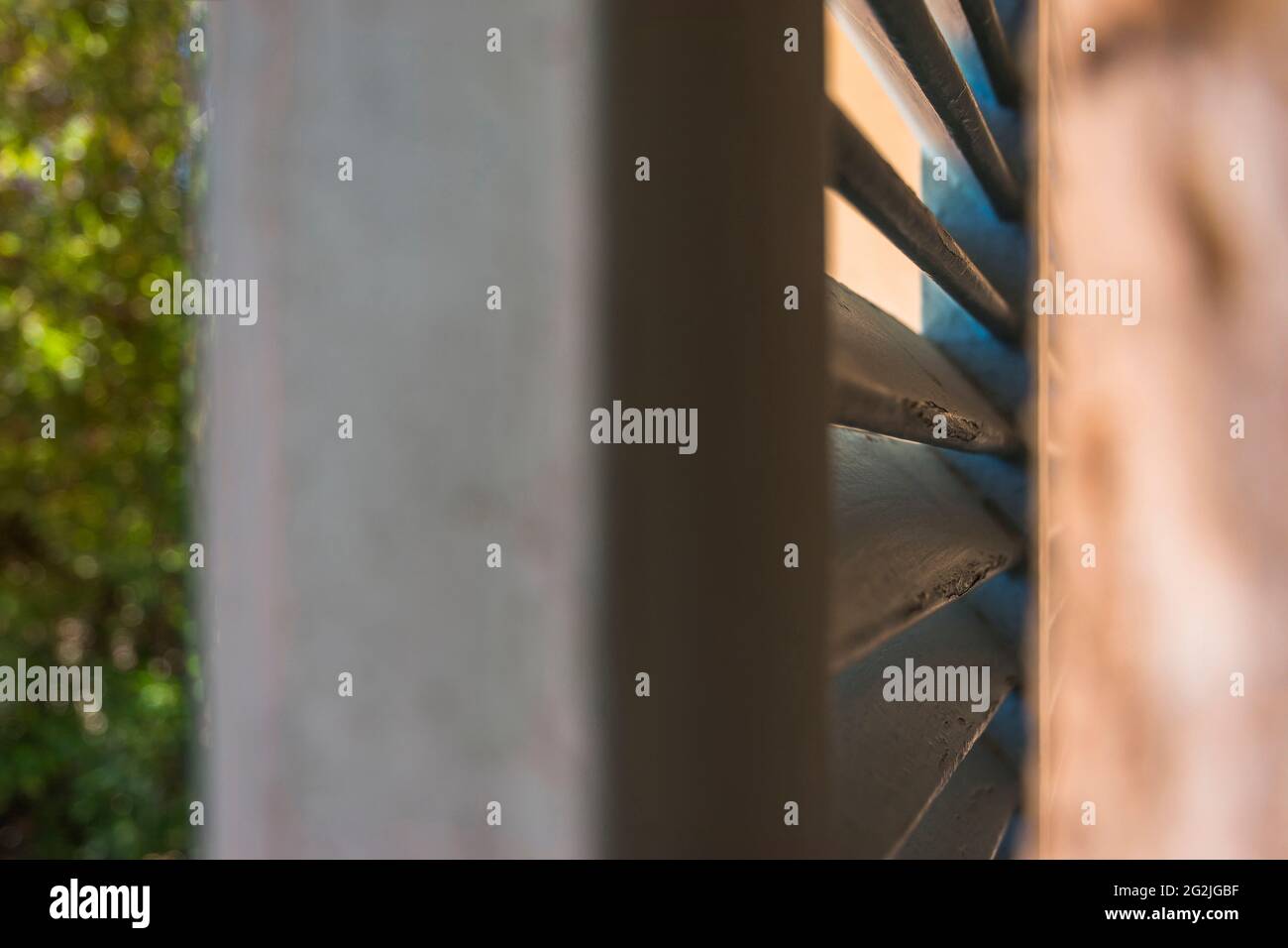 Vita still, umore estivo, dettaglio delle stecche di un otturatore, protezione solare Foto Stock