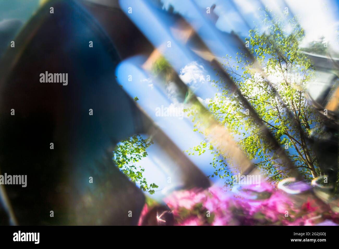 Immagine speculare, riflessi di un giardino, abbronzati, umore bizzarro Foto Stock