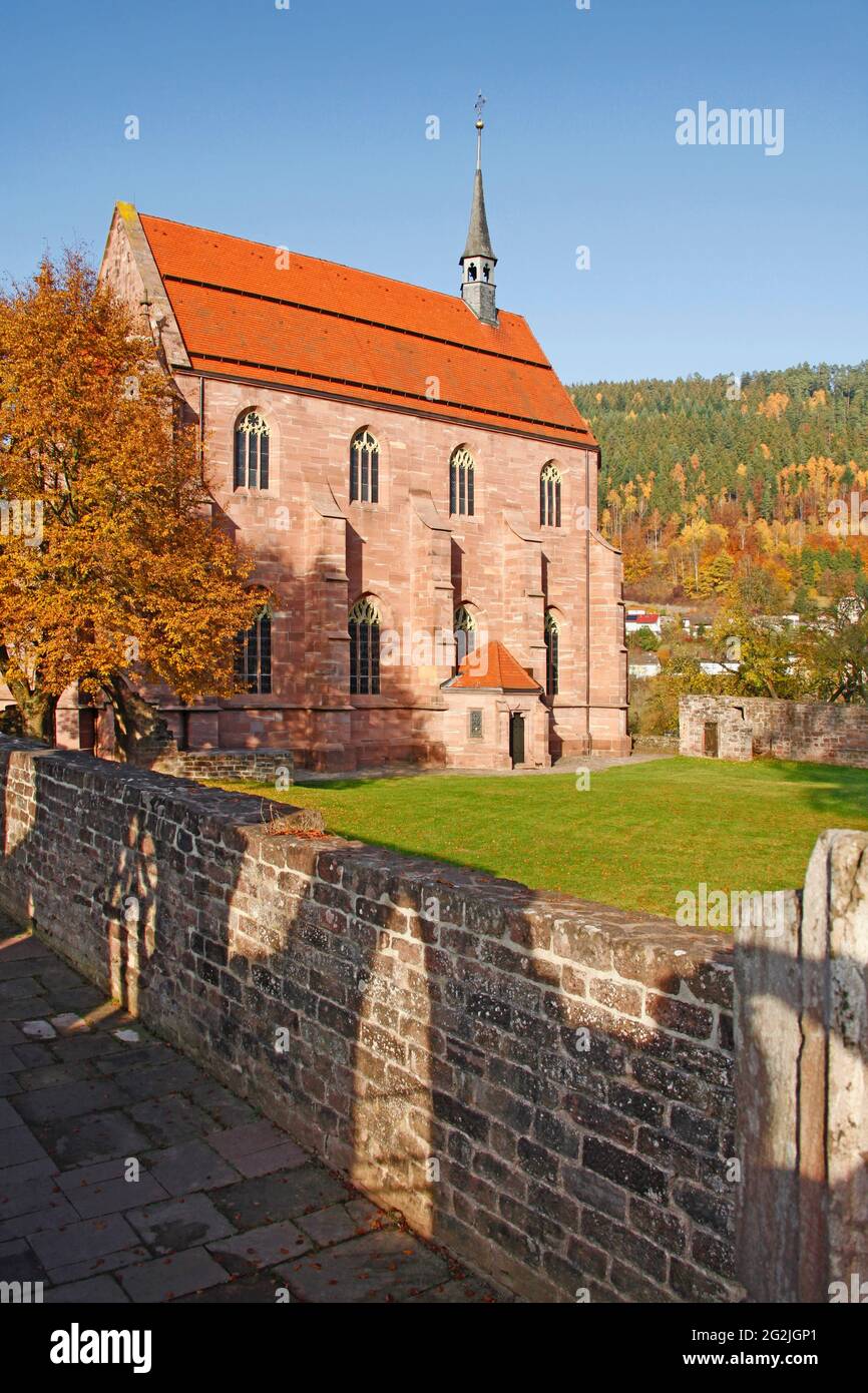 Rovine del monastero di Hirsau, Marienkapelle, ex monastero benedettino, Calw, distretto di Hirsau, Baden-Württemberg, Germania Foto Stock