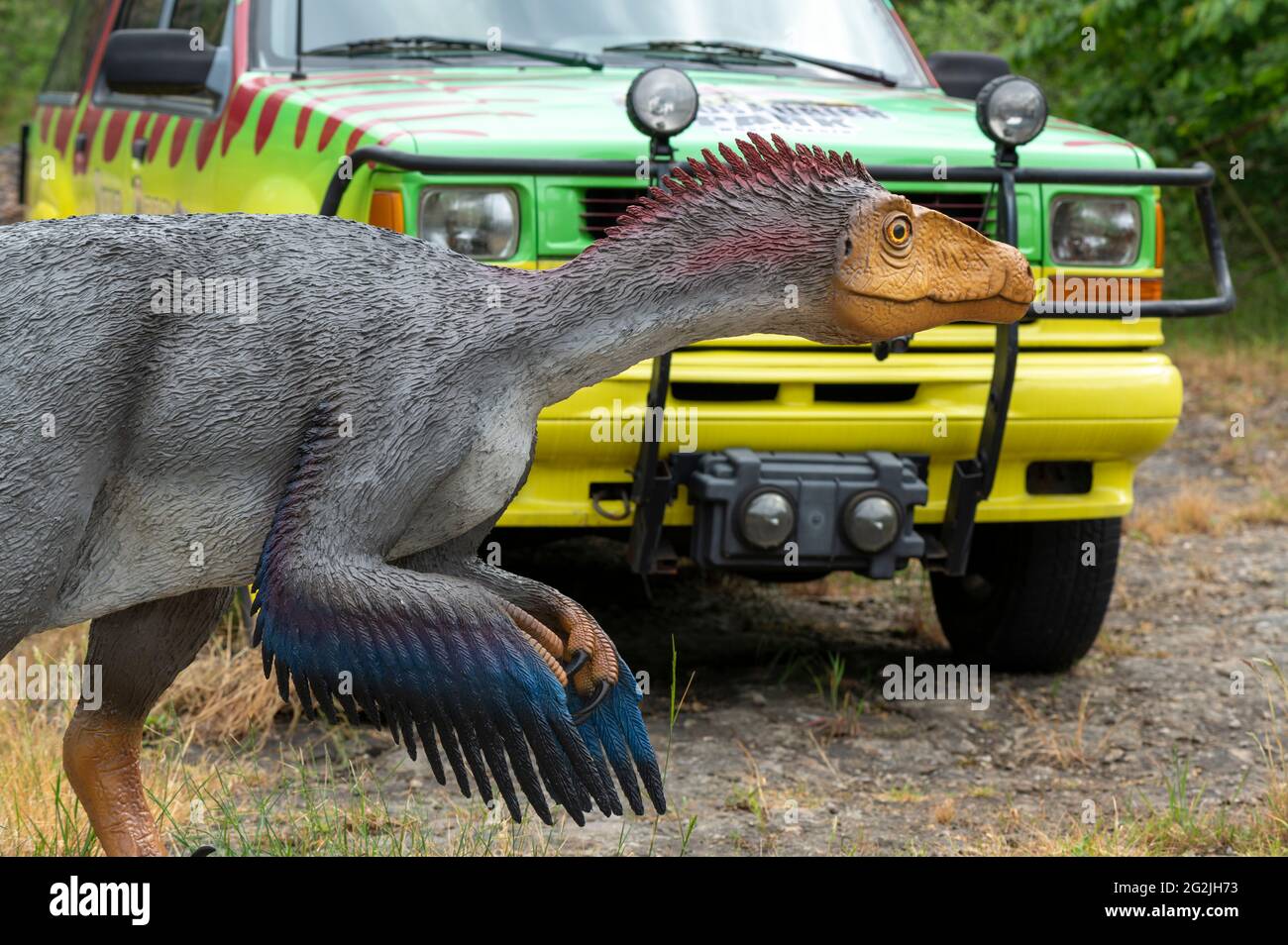 Dinosauro Troodon (simile al Velociraptor) come modello in Dinopark Münchehagen vicino Hannover. Vissuto in Nord America circa 75 milioni di anni fa (periodo Cretaceo), era lungo circa 2.5 m e pesava solo 50 kg. L'auto da JURASSIC PARK. Foto Stock