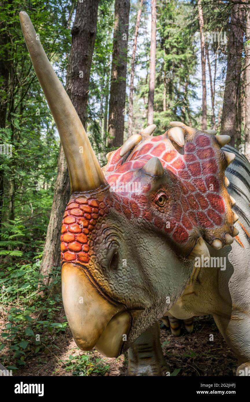 Dinosauro Centrosaurus (simile ai Triceratops) come modello nel Dinopark Münchehagen vicino Hannover. Vissuto circa 76 milioni di anni fa (Cretaceo) in Nord America, era circa 6m lungo e 2.7t in peso. Foto Stock