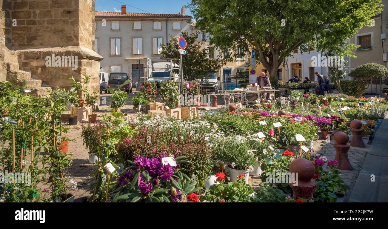 Mercato dei fiori a Coursan in primavera. Foto Stock