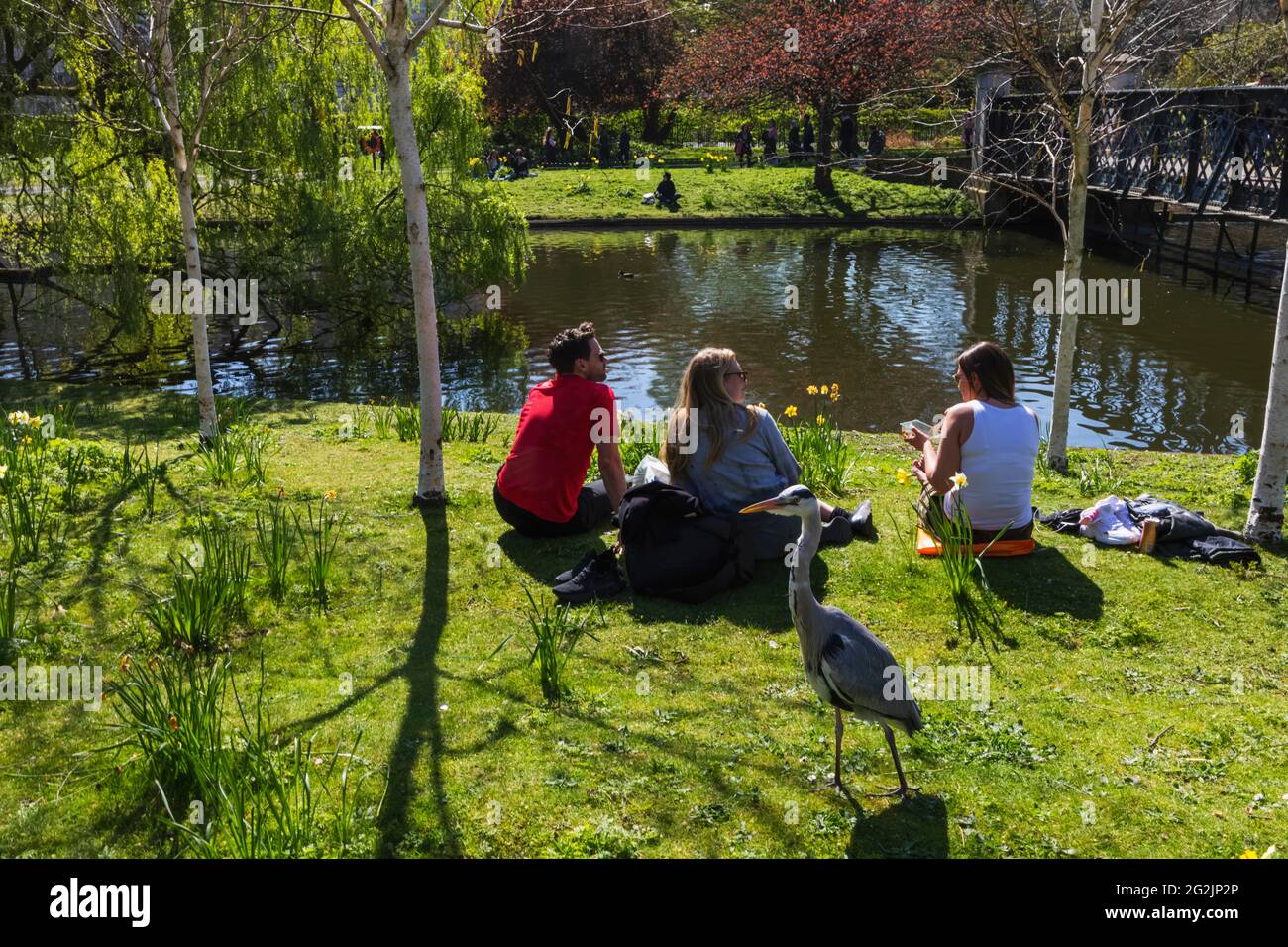 Inghilterra, Londra, Regent's Park, gruppo di giovani picnic Foto Stock