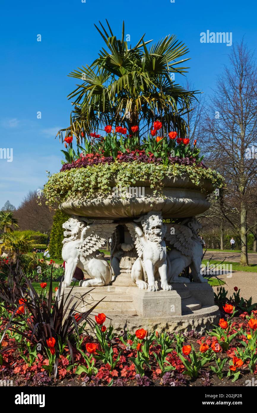 Inghilterra, Londra, Regent's Park Avenue Gardens, la torrefazione Tazza Griffin (Lion vaso) e fiori di primavera Foto Stock