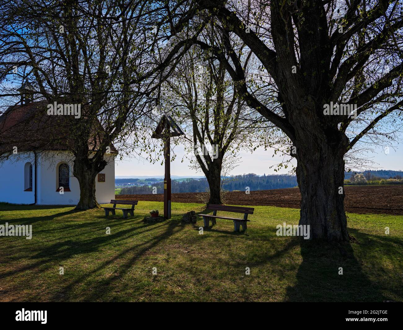 Luogo di culto, cappella, alberi, alberi di tiglio, croce di campo, Croce di pace, bordo della foresta, paesaggio collinare, Ries, cratere Ries, Geopark, Geopark Nazionale, Svevia, Svevia del Nord, Svevia del Nord Foto Stock