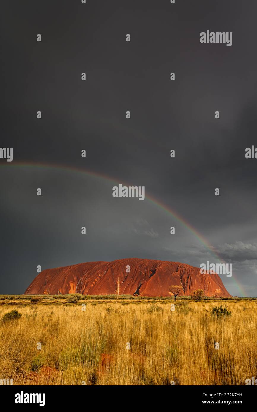 Raramente per vedere il famoso Uluru sotto la pioggia con un arcobaleno. Foto Stock