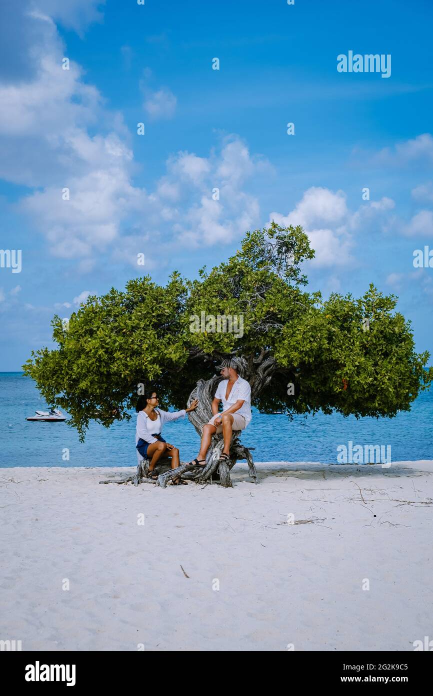 Tramonto a Eagle Beach Aruba, Divi Dive Trees sul litorale di Eagle Beach ad Aruba. Foto Stock