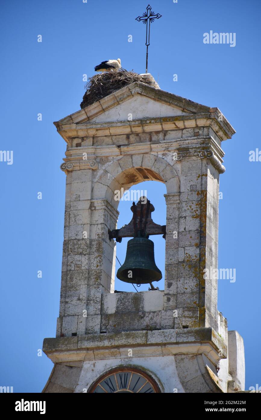 Cicogne che nidificano sul campanile della cattedrale di Faro, Algarve, Portogallo Foto Stock