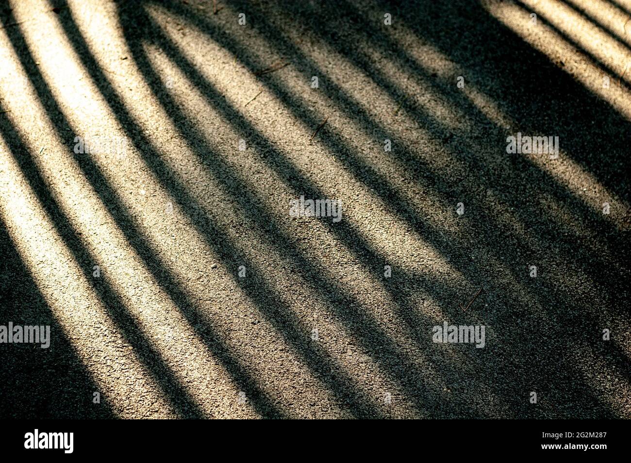 Luce solare intensa e ombre nere dure sulla strada. Strisce d'ombra su una strada asfaltata. Foto Stock