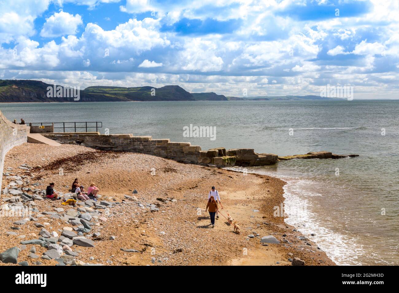 Dog Walkers sulla East Beach a Lyme Regis con Golden Cap Beyond sulla Jurassic Coast, Dorset, Regno Unito Foto Stock