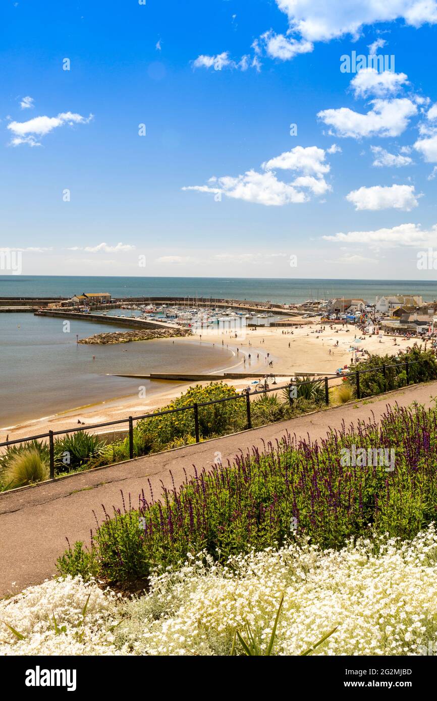 Il porto e la spiaggia di Lyme Regis, visto dal Langmoor e Lister Gardens sulla Jurassic Coast, Dorset, Regno Unito Foto Stock