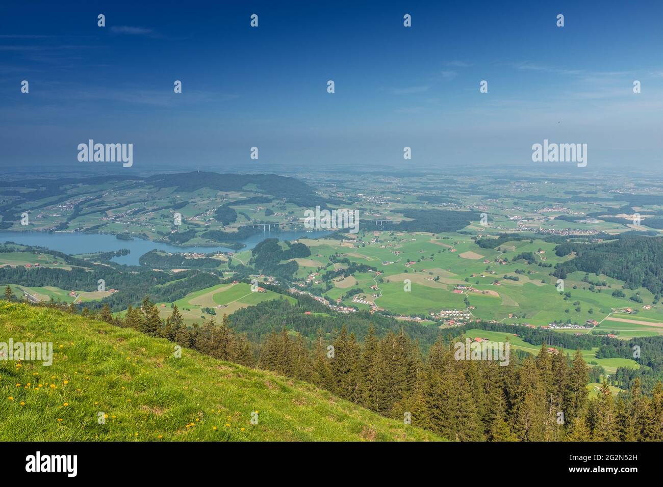 Vista panoramica delle Alpi svizzere vicino a 'la Berra', con foresta e cielo blu sullo sfondo, girato a la Berra, Gruyère, Svizzera Foto Stock
