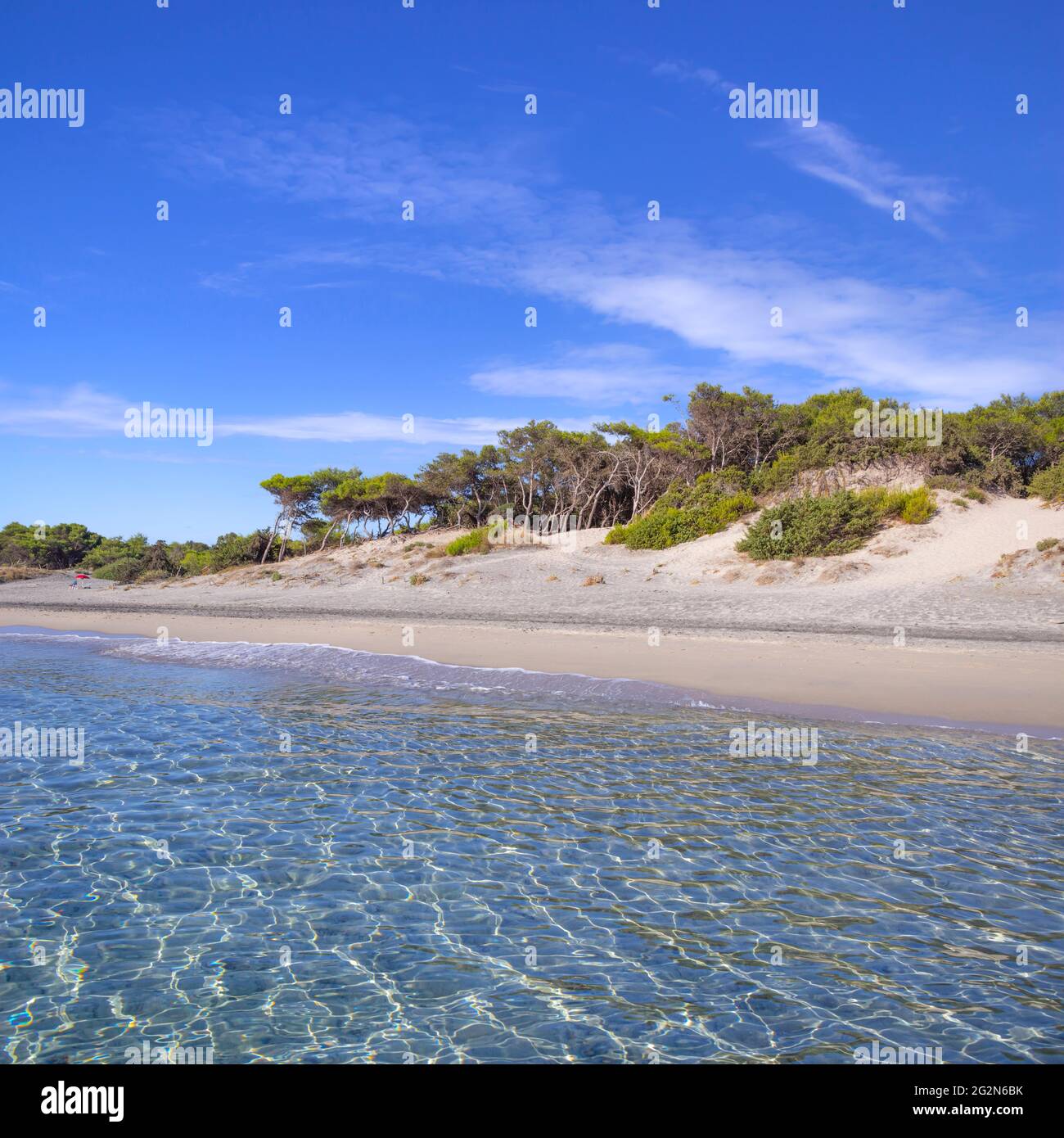 Le più belle spiagge di sabbia della Puglia. Costa Salento: Spiaggia  Alimini, Italia (Lecce). Dune coperte di macchia mediterranea Foto stock -  Alamy