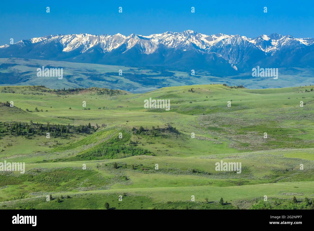 colline ondulate sotto la catena montuosa di absaroka vicino a livingston, montana Foto Stock