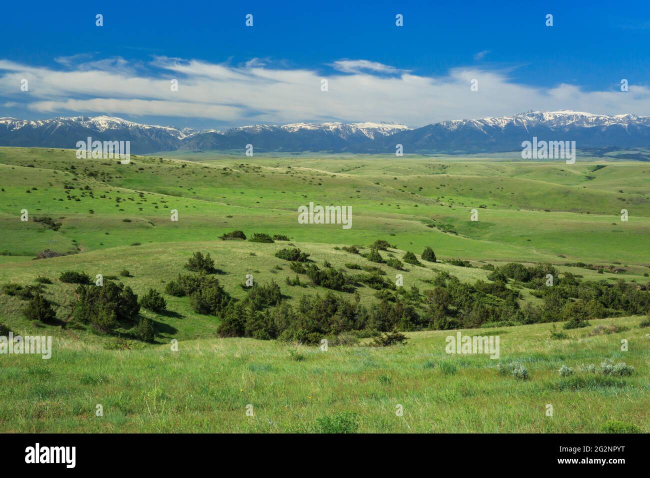 vaste colline ondulate sotto le lontane montagne beartooth vicino absorakee, montana Foto Stock vaste colline ondulate sotto le lontane montagne beartooth vicino absorakee, montana Foto Stock