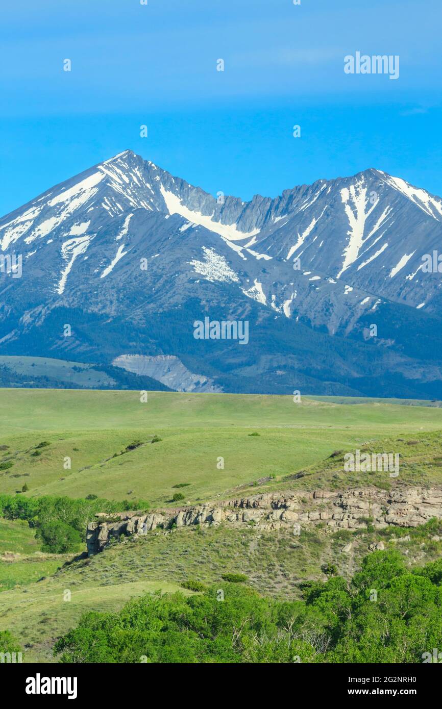 montagne pazzi sopra prateria vicino a grande legname, montana Foto Stock