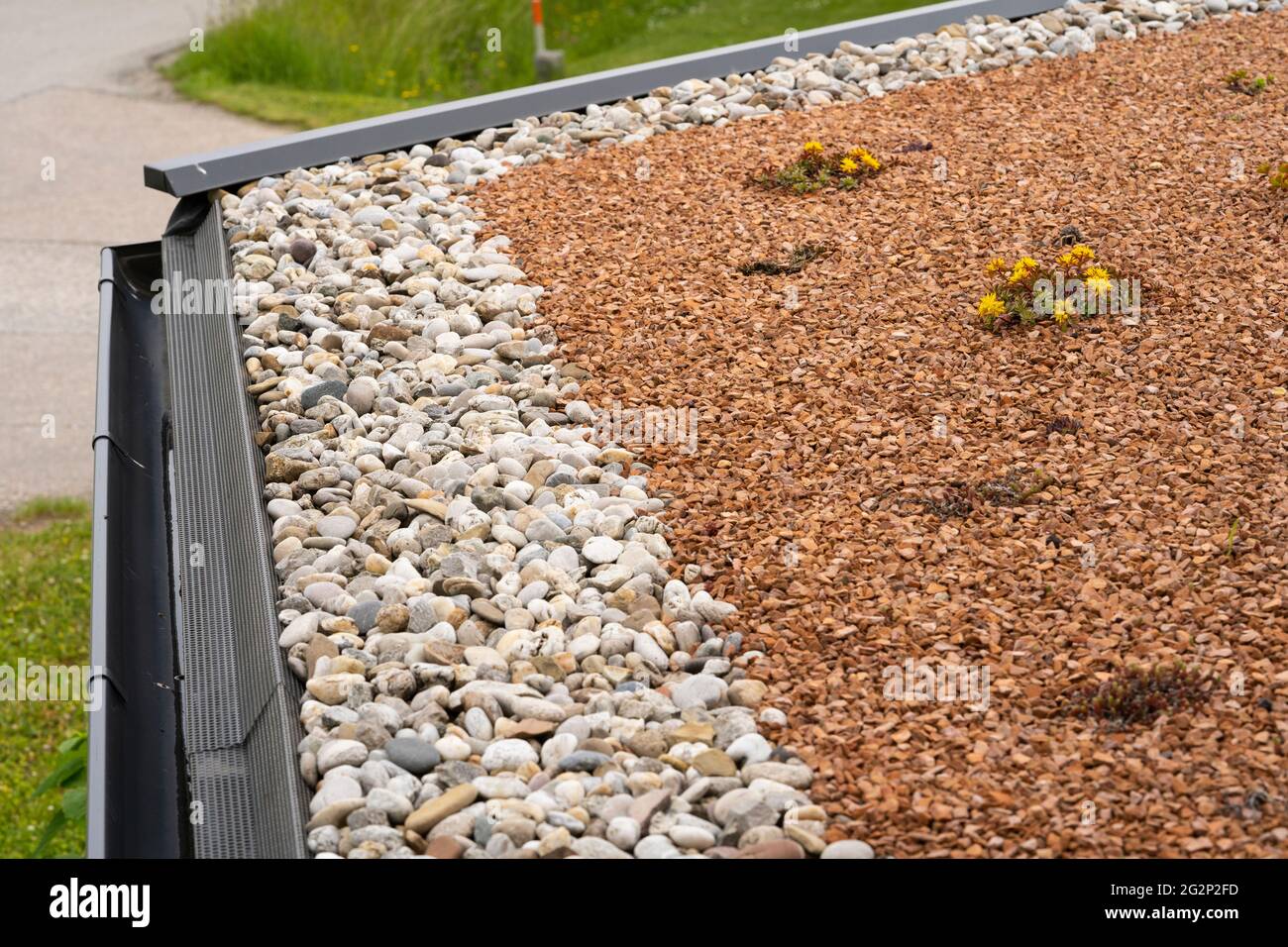 Un tetto verde su un edificio utilizzato per la cattura dell'acqua piovana da utilizzare per sciacquare i bagni all'interno di una casa. Bassa Austria, Austria Foto Stock