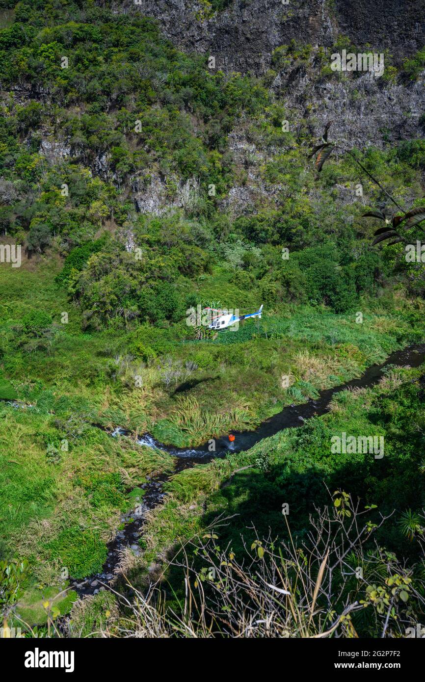 Lotta fuoco a la Reunion Foto Stock