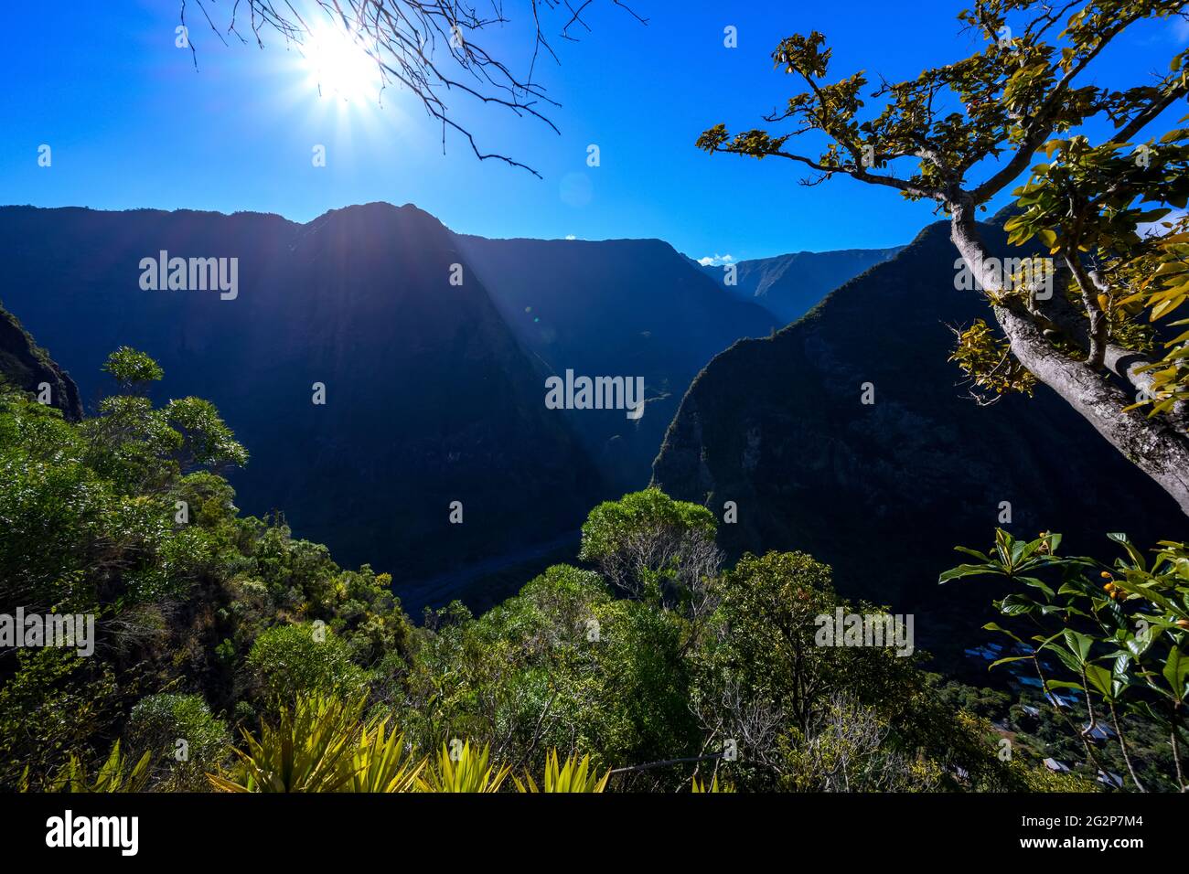 Tour escursionistico del Grand Bassin Foto Stock