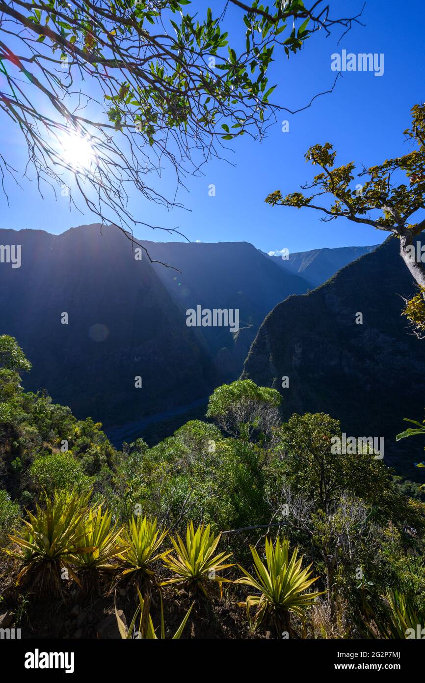 Tour escursionistico del Grand Bassin Foto Stock