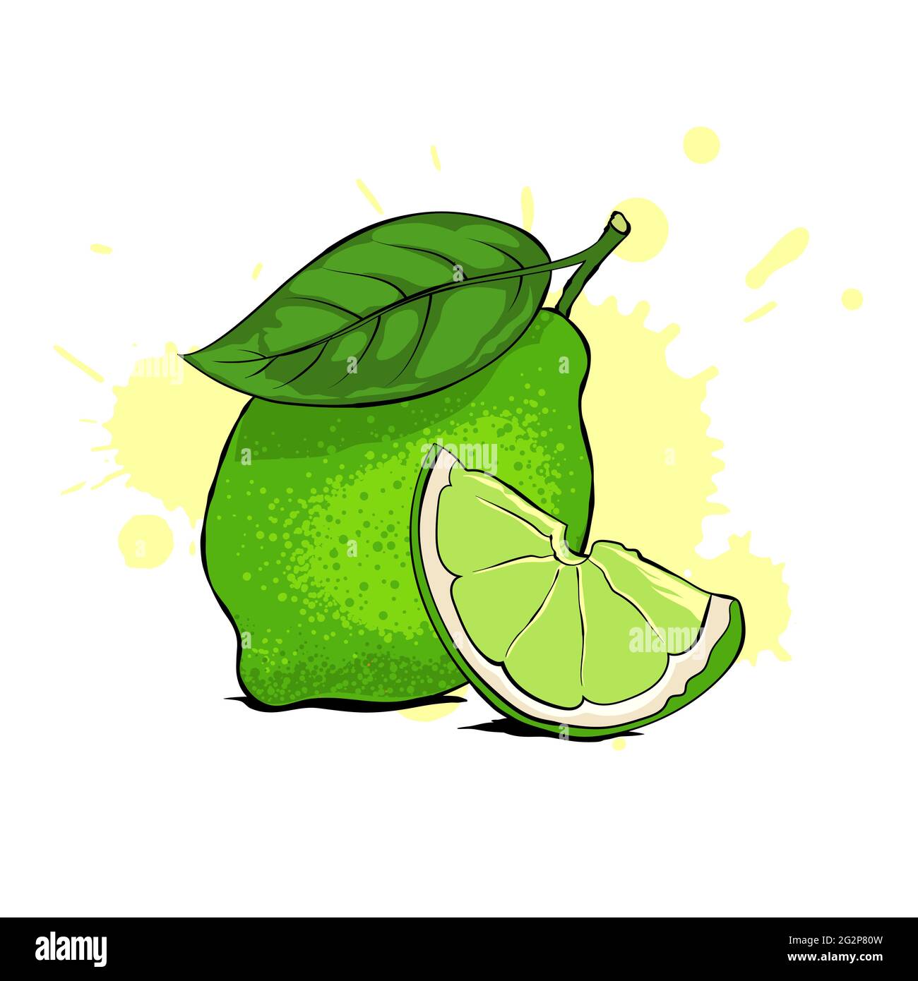 Fresco di calce verde succosa con foglia e fetta. Illustrazione vettoriale. Illustrazione Vettoriale