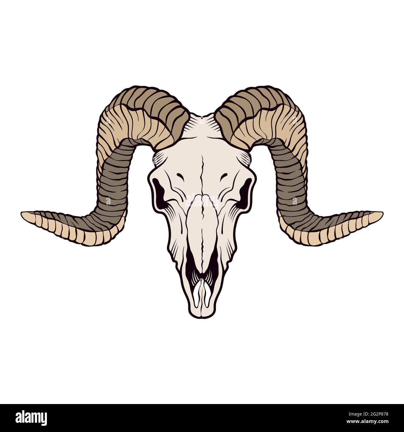 Cranio RAM isolato su bianco. Illustrazione vettoriale. Illustrazione Vettoriale