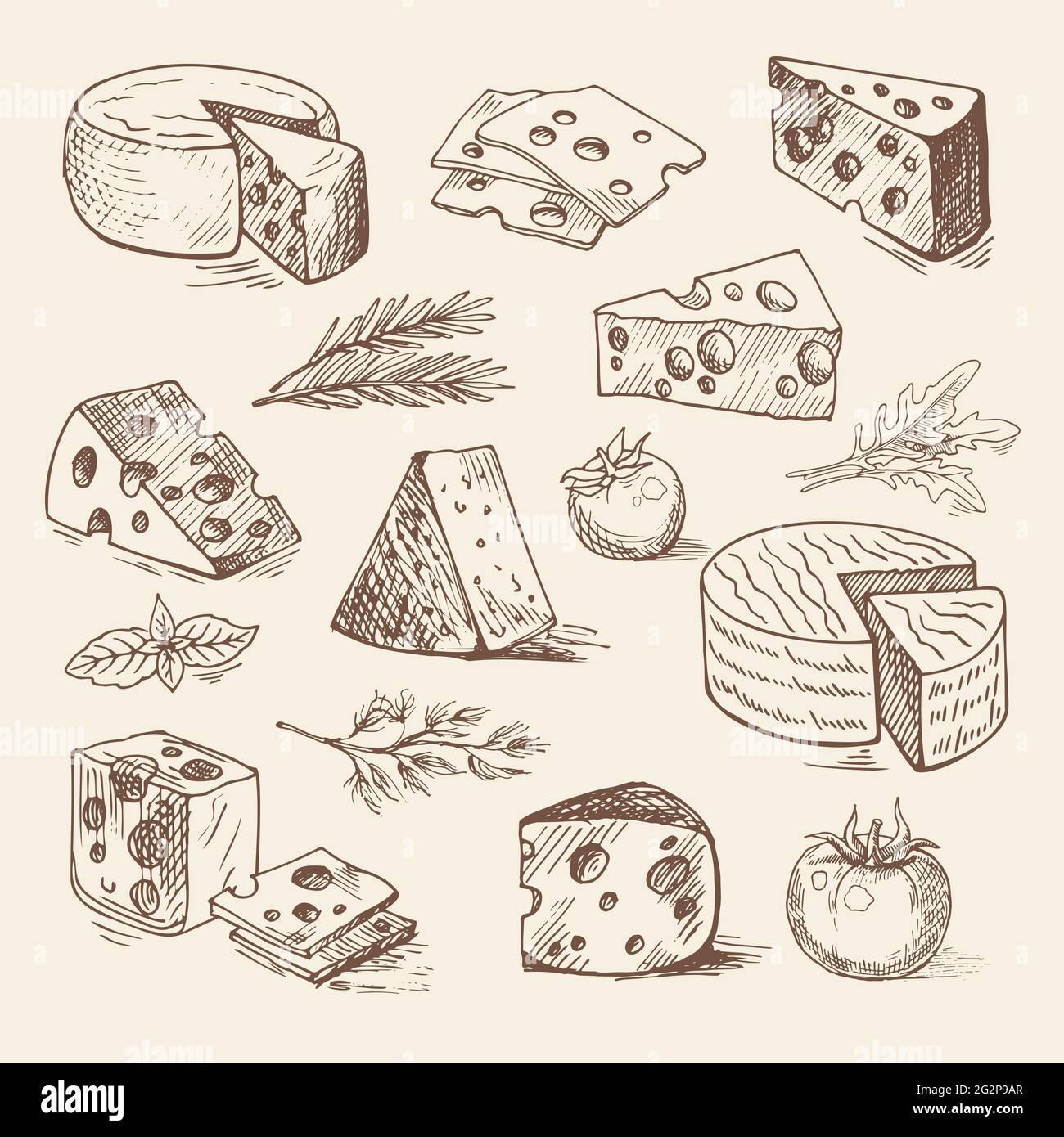 Pezzi di formaggio, pomodori, verdi, estratti a mano. Disegno vettoriale, illustrazione degli alimenti organici. Illustrazione Vettoriale