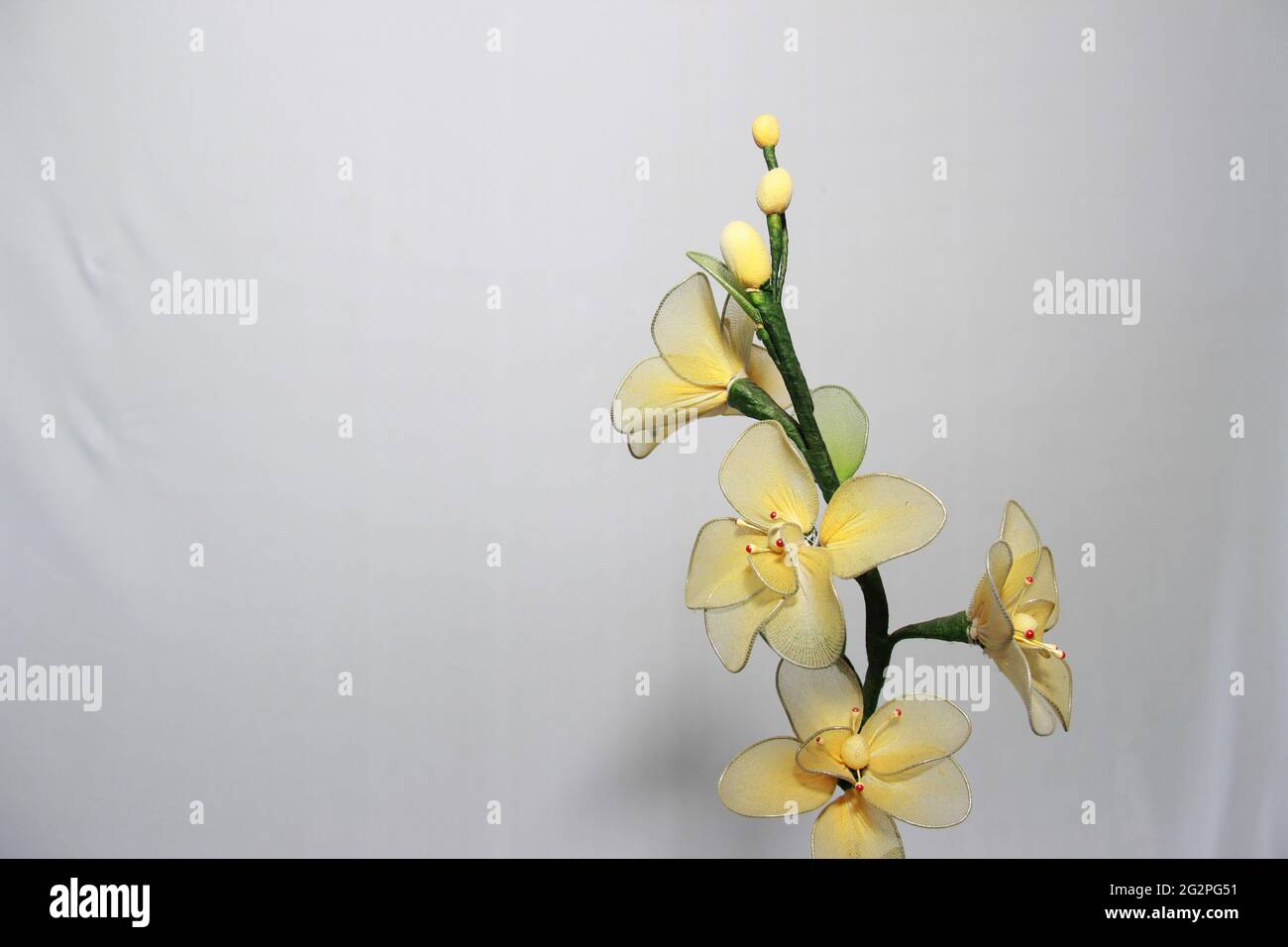 fiori gialli freschi per la decorazione del soggiorno. fiore con sfondo bianco isolato. fiori profumati per l'aria e decorazioni per le pareti della casa Foto Stock