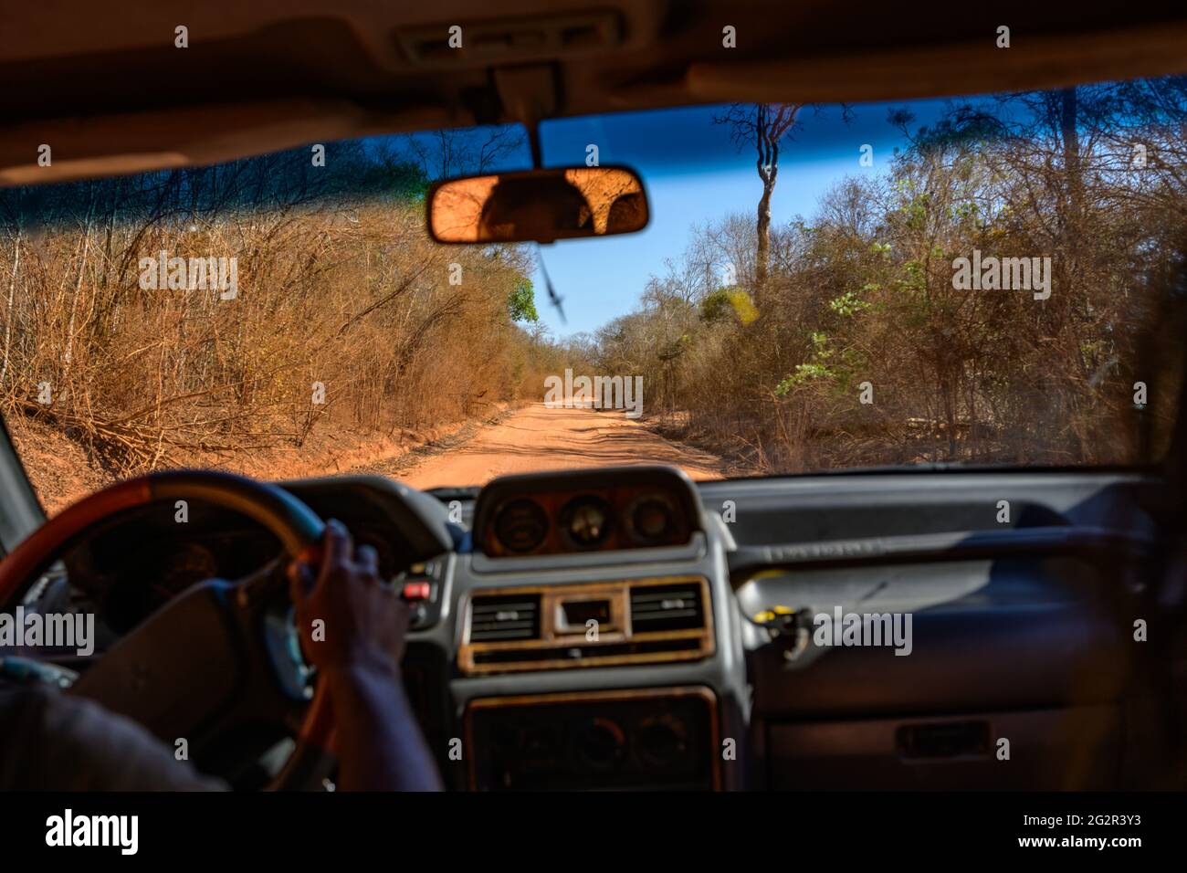 Unterwegs nach tsingy de bemaraha Foto Stock