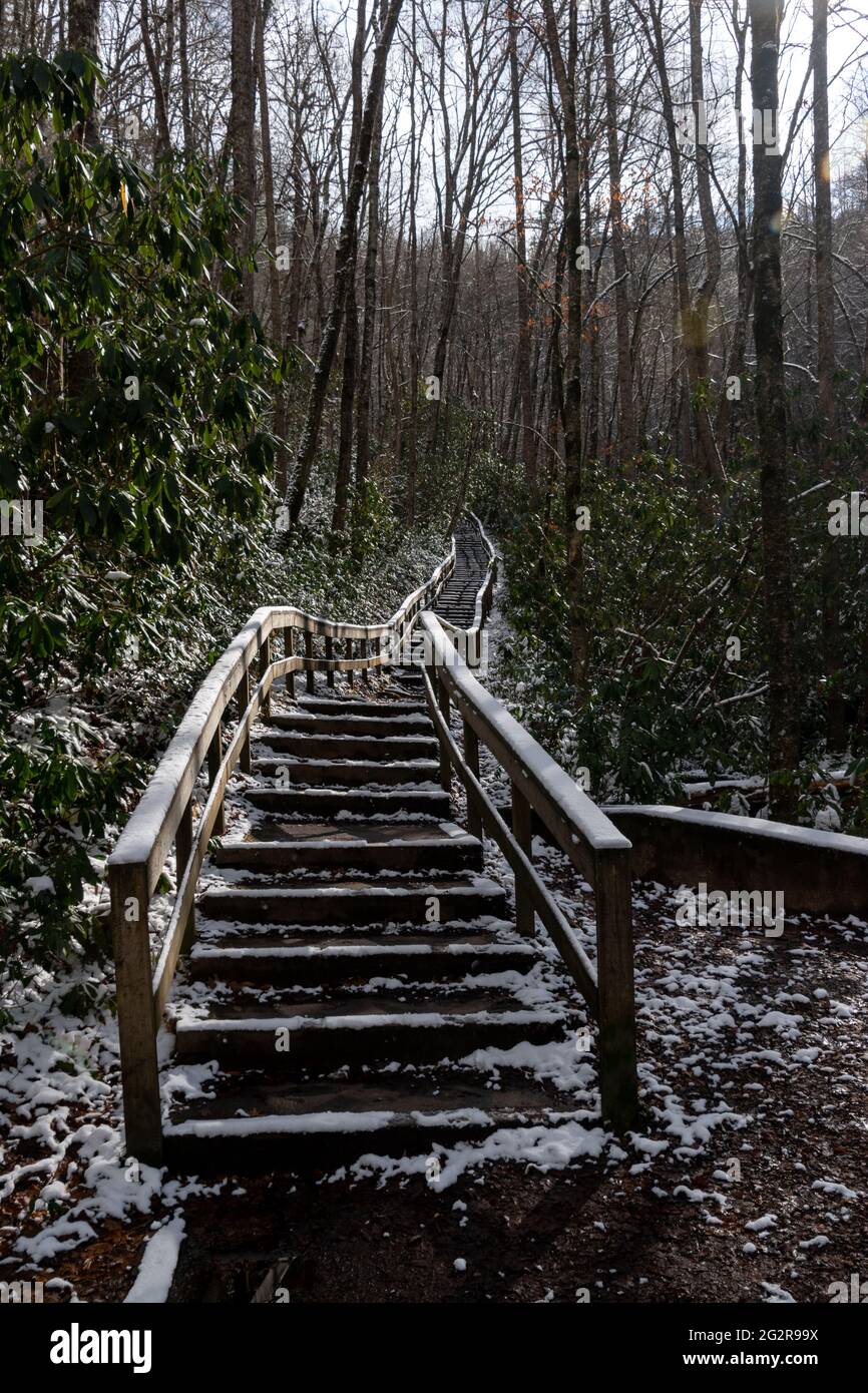 Una lunga scalinata fatta di legno che sale alle Cascate del Mingo nelle Montagne di Blue Ridge, Carolina del Nord con una leggera polvere di neve Foto Stock