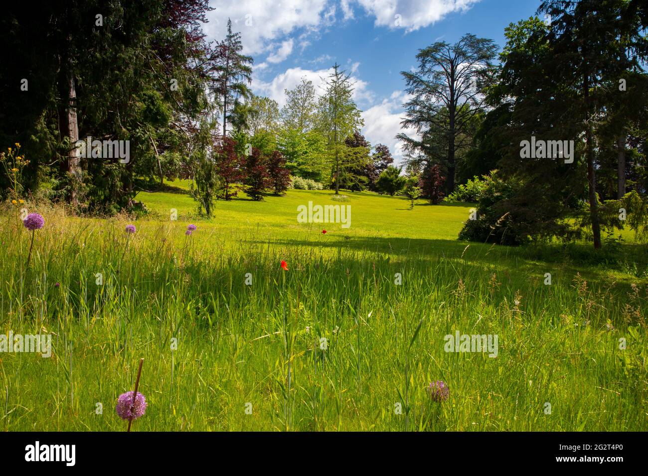 I giardini e il parco del Grand Hotel Imperial Levico Terme Foto Stock