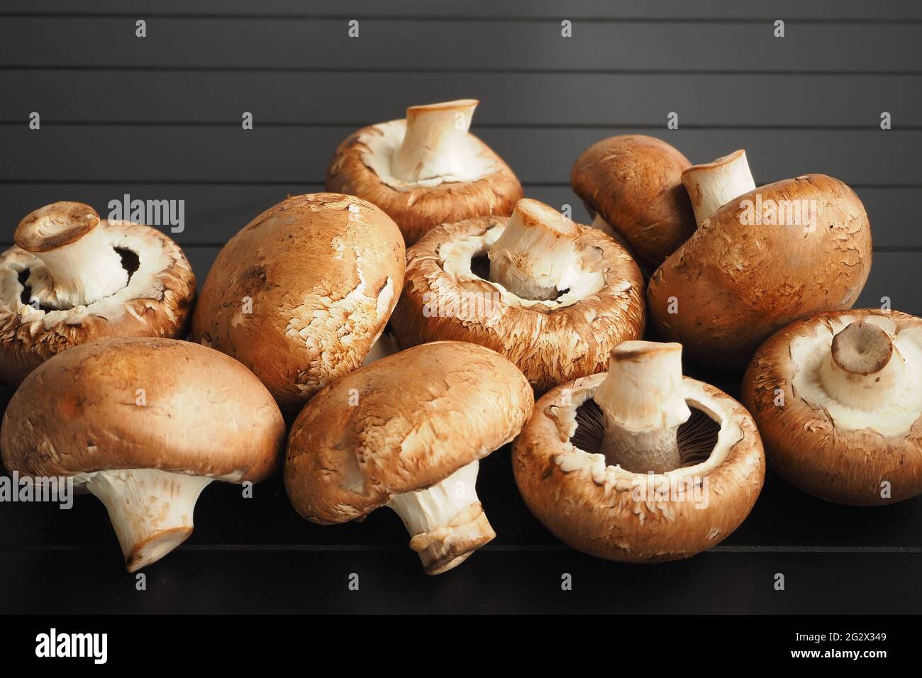 Funghi commestibili, champignons bruno-capped su sfondo nero. Foto Stock