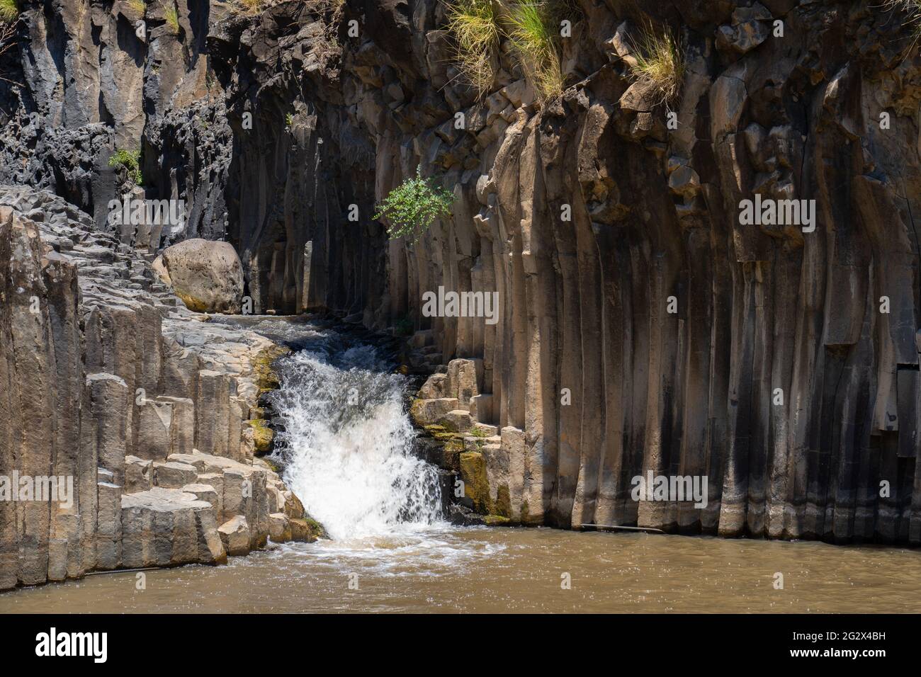 Israele, Golan Heights, Foresta di Yehudiya Riserva Naturale Meshushim Pool - piscina esagonale così chiamato a causa della forma delle rocce basaltiche nella scogliera in Foto Stock