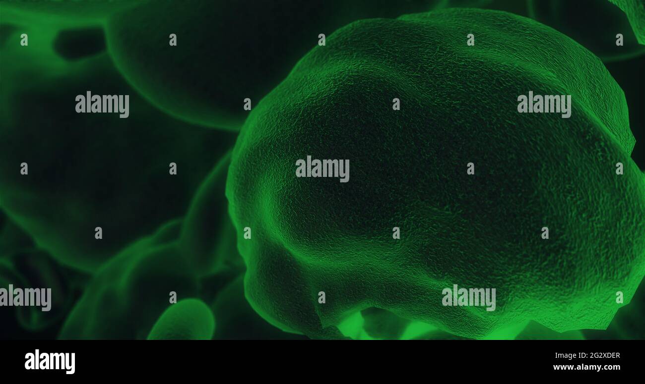 Cellule in movimento nel tessuto umano, vista microscopica Foto Stock