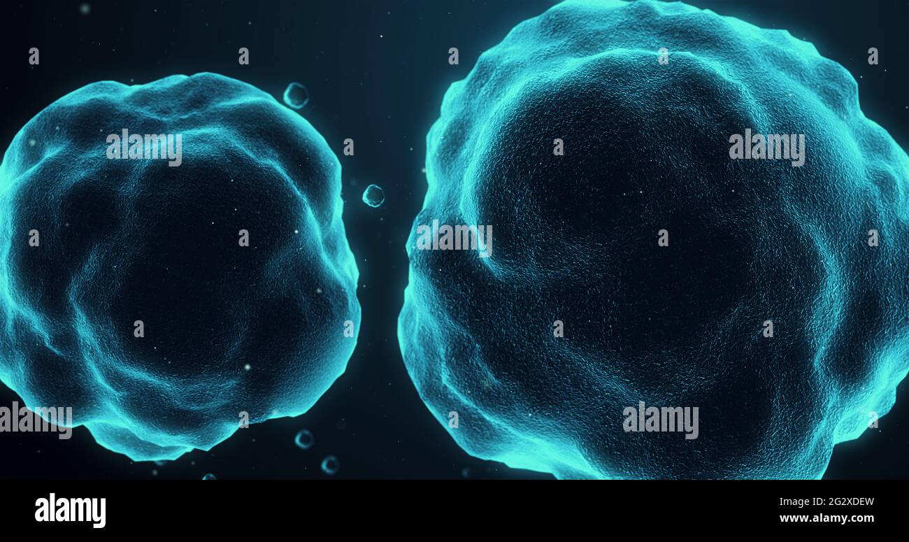 Cellule organiche in movimento nel tessuto umano, vista microscopica Foto Stock