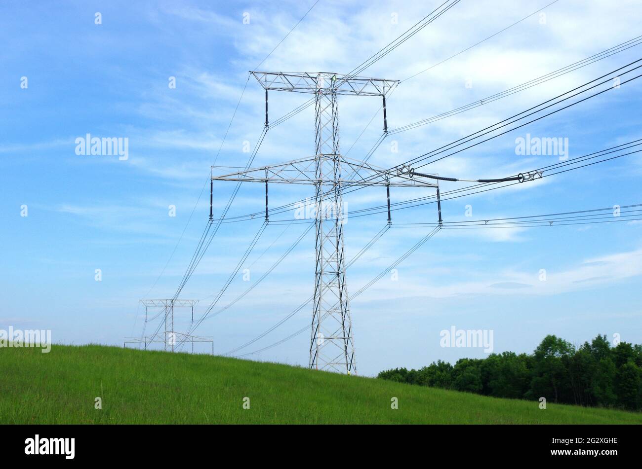 Torri elettriche ad alta tensione e linee con cielo blu e prato verde. L'elettricità torreggia su un campo verde. Linee di trasmissione ad alta tensione. Foto Stock