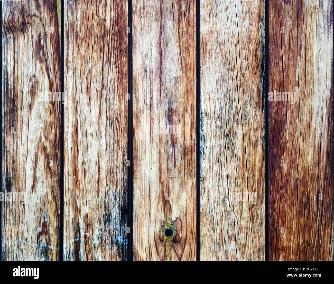 Doghe verticali in legno a grana morbida e tessitura Foto Stock