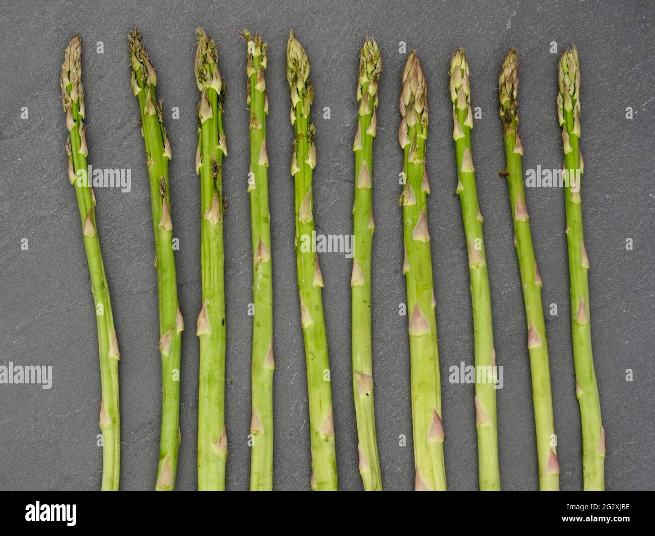 Dieci cesoie di asparagi posate su un'ardesia Foto Stock