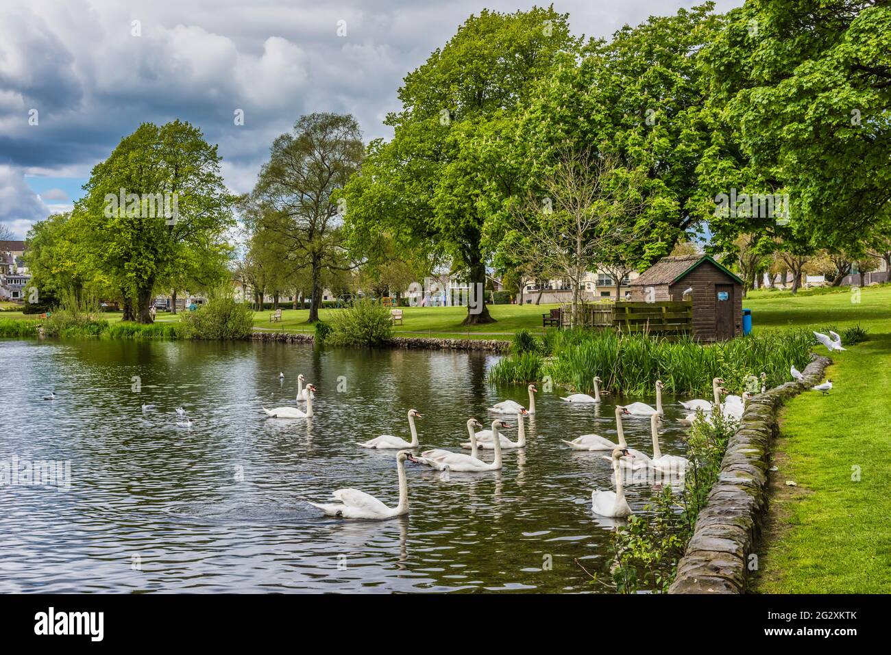 Il panoramico Carlingwark Loch e il parco principale punto di riferimento presso la città di Castle Douglas sulla penisola di Dumfries e Galloway sulla costa occidentale della Scozia Foto Stock