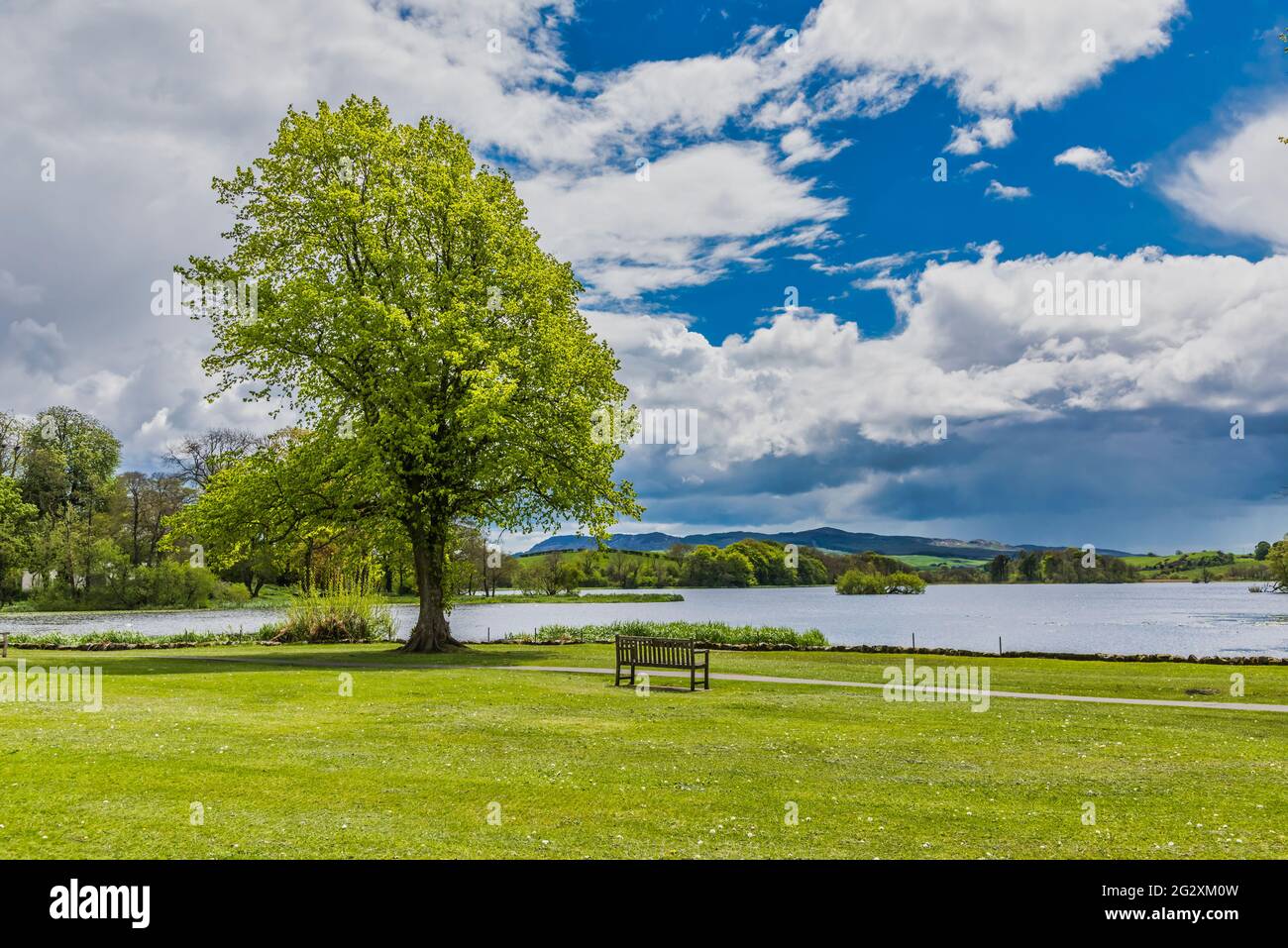 Il panoramico Carlingwark Loch e il parco principale punto di riferimento presso la città di Castle Douglas sulla penisola di Dumfries e Galloway sulla costa occidentale della Scozia Foto Stock