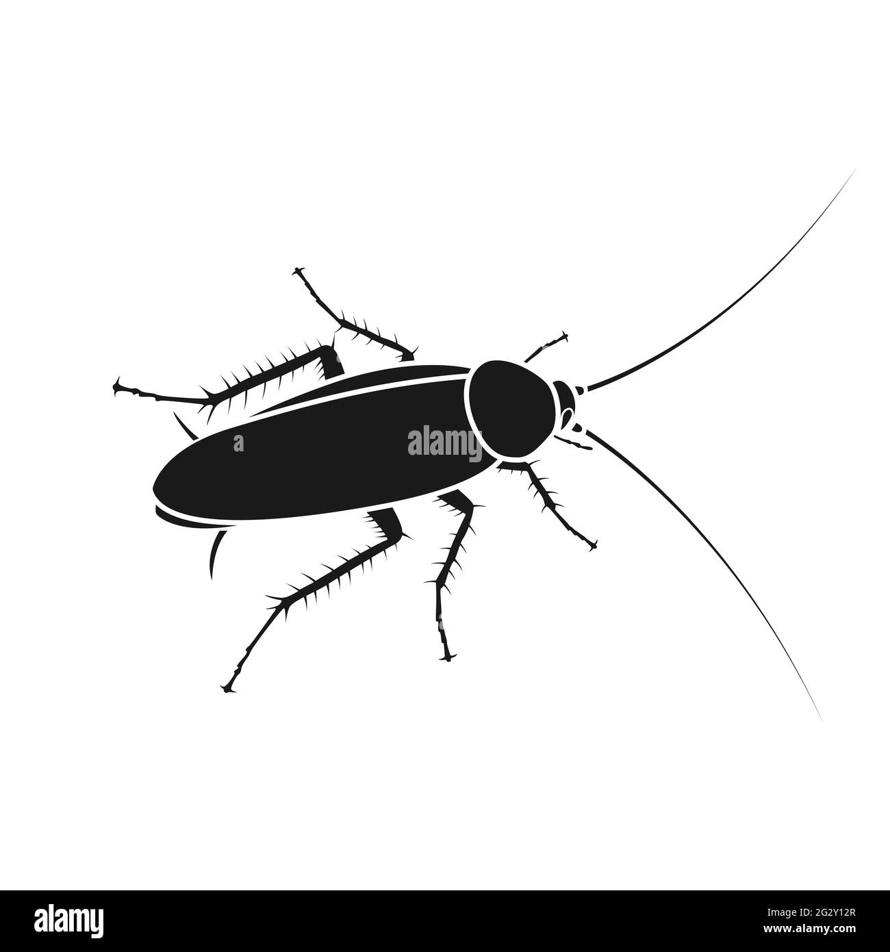Icona realistica di uno scarafaggio domestico. Repellente per insetti. Illustrazione Vettoriale