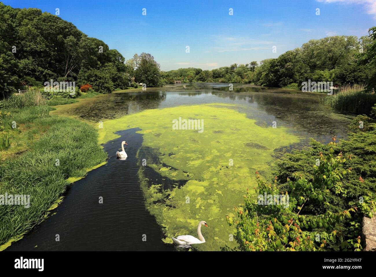 Frank Melville Memorial Park Setauket Long Island New York Foto Stock