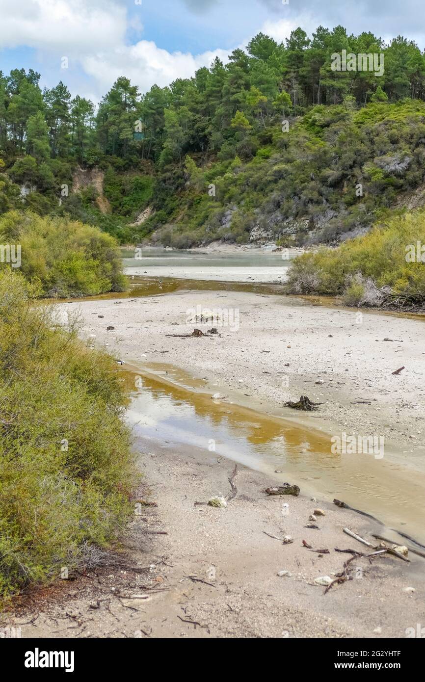 Area geotermica chiamata Waiotapu in Nuova Zelanda Foto Stock