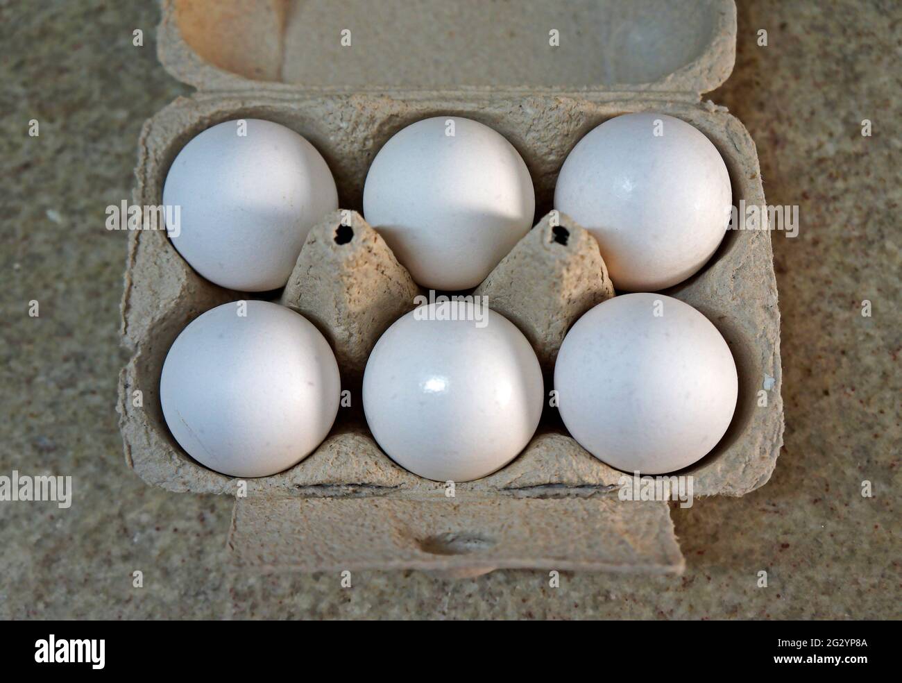 Mezza dozzina di uova di pollo bianche su scatola di cartone Foto Stock