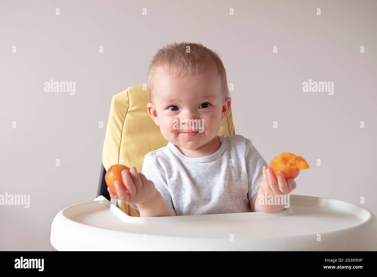 Adorabile bambino seduto su un seggiolone e tenendo in mano frutti di albicocca. Alimentazione del bambino, alimentazione del bambino Foto Stock