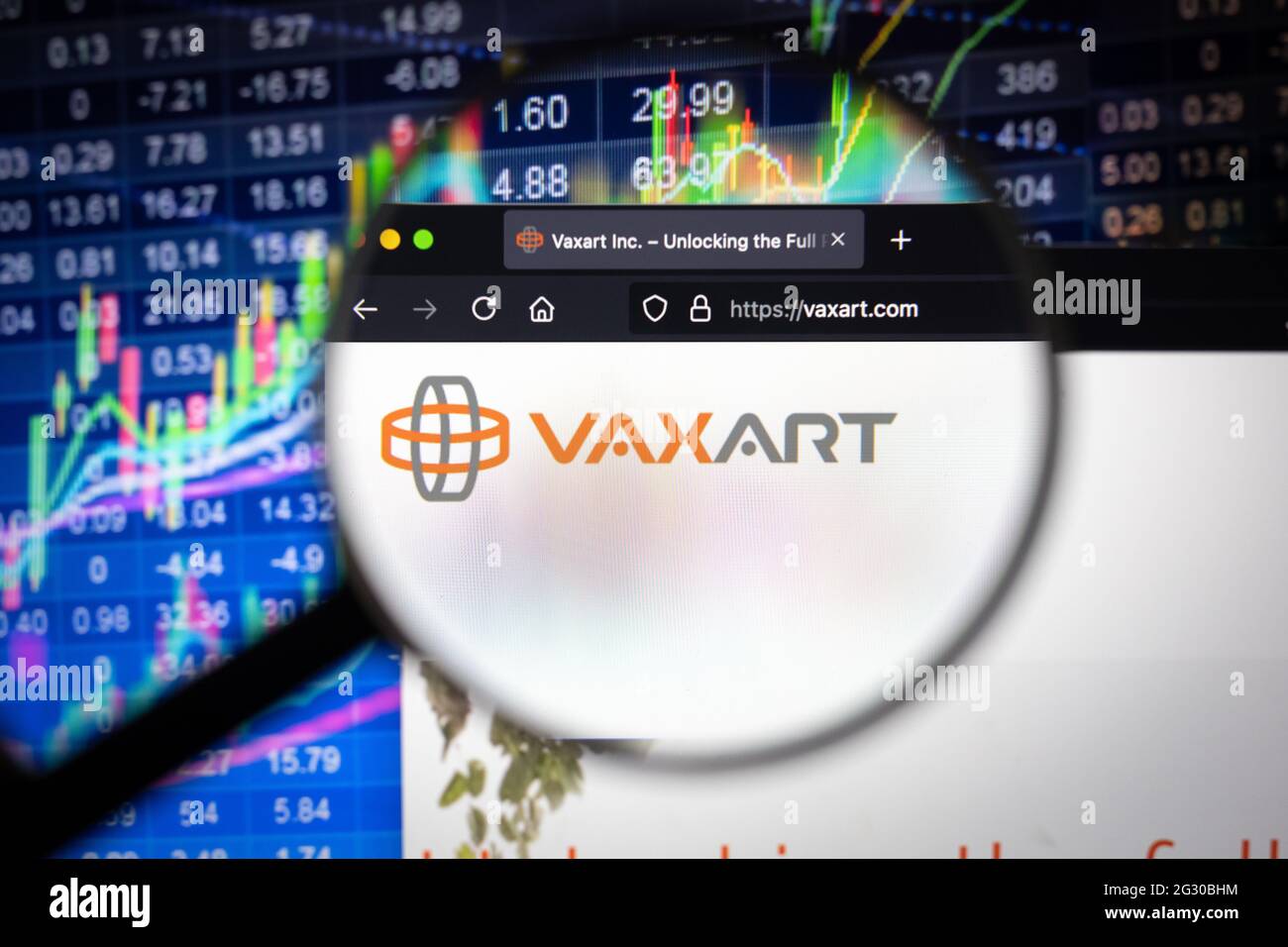 Vaxart logo aziendale su un sito web con sviluppi del mercato azionario sfocato in background, visto su uno schermo del computer attraverso una lente di ingrandimento Foto Stock