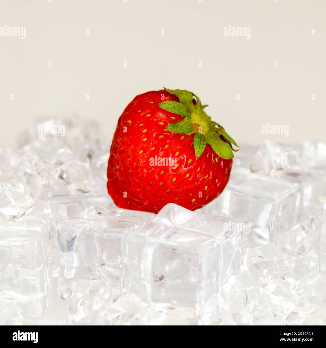 Fragola sdraiata in cubetti di ghiaccio, concetto minimo, sfondo luminoso Foto Stock