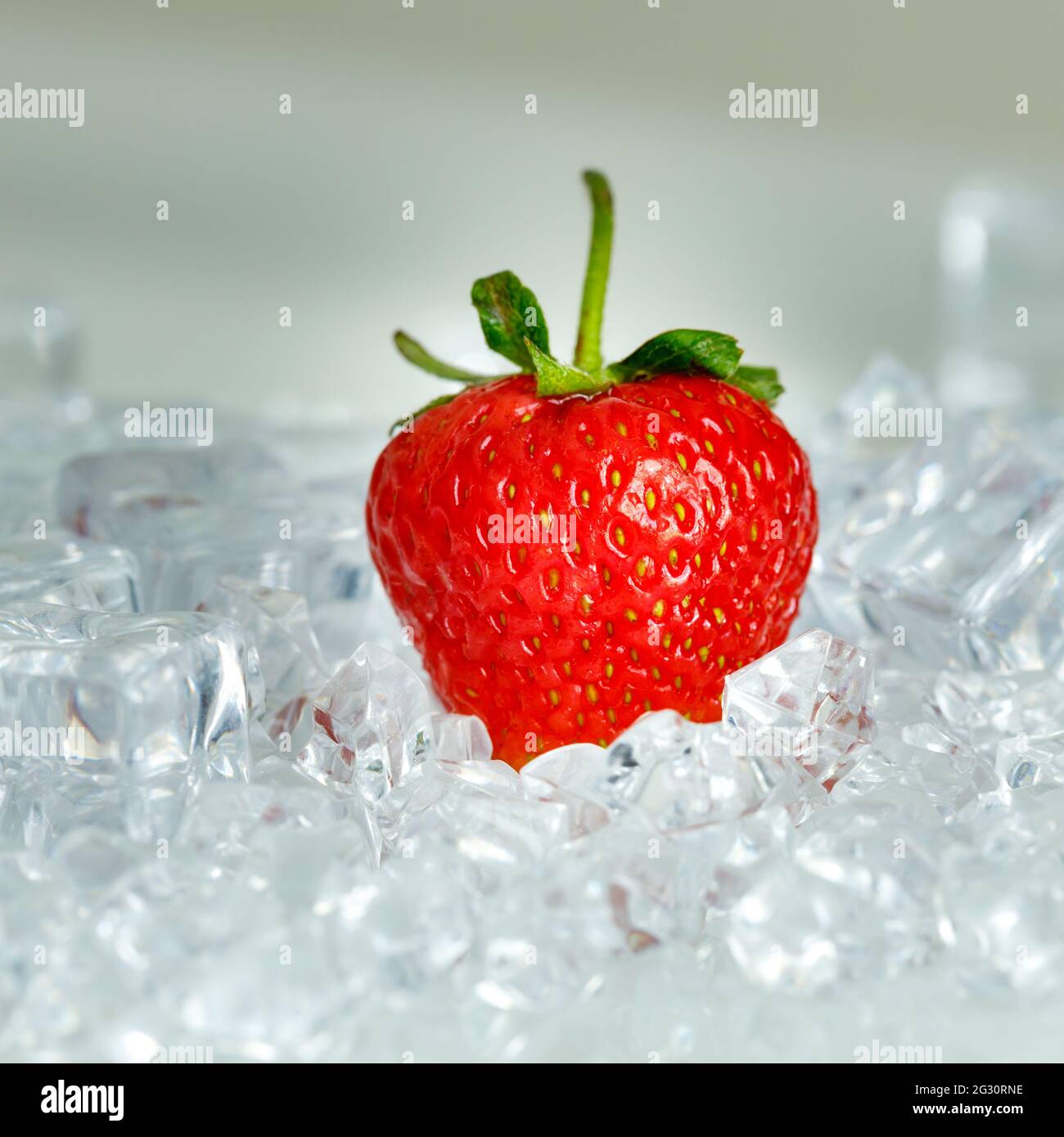 Fragola sdraiata in cubetti di ghiaccio, concetto minimo, sfondo luminoso Foto Stock